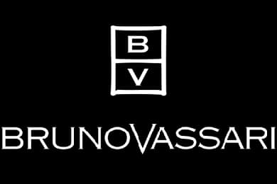 Bruno Vassari logo